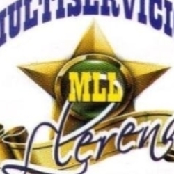 Multiservicios Llerena