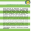 Porfafolio Multiservicios llerena