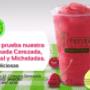 Subido por visitante en 17/11/2016