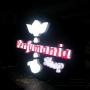 Subido por visitante en 9/06/2016 - Caja de Luz con letra corpórea Acrílica iluminación Led