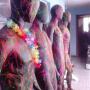 Subido por visitante en 1/02/2017 - Alquiler de maniquies para eventos