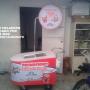 COCHE HELADERO PARMALT