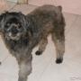 Subido por visitante en 24/10/2015 - 14 pasado 14 de octubre desaparecio de el barrio prado de el municipio de bello bello si alguien sabe de su paradero llamar a los teléfonos 600 71 57 o al celu..3225818696 gracias .
