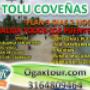 Subido por visitante en 16/04/2018