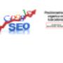 SEO (Posicionamiento Organico en Buscadores)