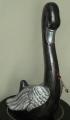 Cisne Negro grande