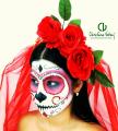 Módulo de Maquillaje Profesional