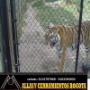 Subido por visitante en 30/03/2016 - MALLA ESLABONADA