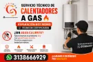 Revisión calentador
