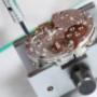 Maquinaria reloj de Pulso