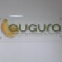Aviso Augura