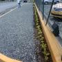 adecuación accesos - antejardin