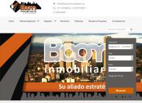 Sitio web de Boom Inmobiliario