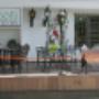 Galeria pabolli