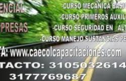 Caecol Capacitaciones