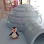 iglu