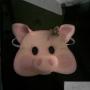 Mascara   Pig