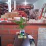 Districeramicas y Enchapes Ltd