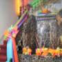 Escalas y cascada para las quinceañeras
