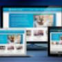 Diseño de paginas web Medellín Colombia
