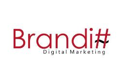 Branditt Digital Marketing