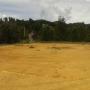 Venta de propiedad raíz Antioquia