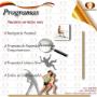 Programas empresariales