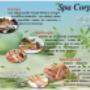 SPA Corporativo