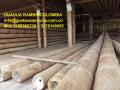 GUADUA INM MENGUANTE