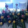bodas