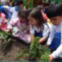 nuestra huerta