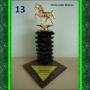 trofeo torre