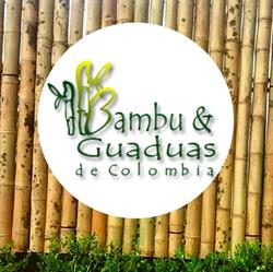 BAMBOO & GUADUAS MIRYAM PINILLA