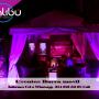 Carpa Lounge para Alquiler