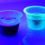 jager shot
