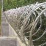 Subido por visitante en 4/05/2017