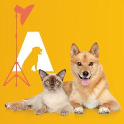 Animaux Fotografía y Publicidad