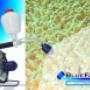 Equipo bluefan fagodi