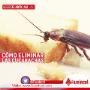 fumigacion de cucarachas