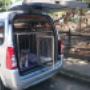 afrodita asistiendo a la huellaton manzanares