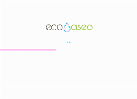 Sitio web de ECOASEO