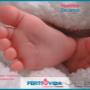 Subido por visitante en 14/12/2015