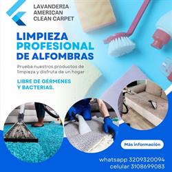 ab lavanderia american clean carpet