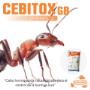 Cebitox Control de la Hormiga Loca Paratrechina