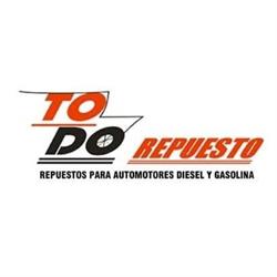 Todo Repuesto