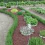 Jardines Medicinales