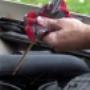 Subido por visitante en 17/07/2016