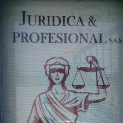 JURÍDICA Y PROFESIONAL SAS