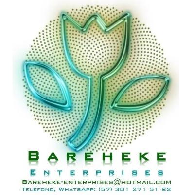 Bareheke Enterprises