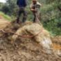 Demolicion de roca